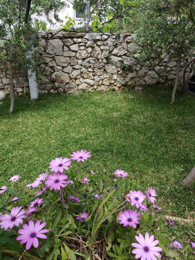 Altin Skrapari Guesthouse Ksamil Dış mekan fotoğraf