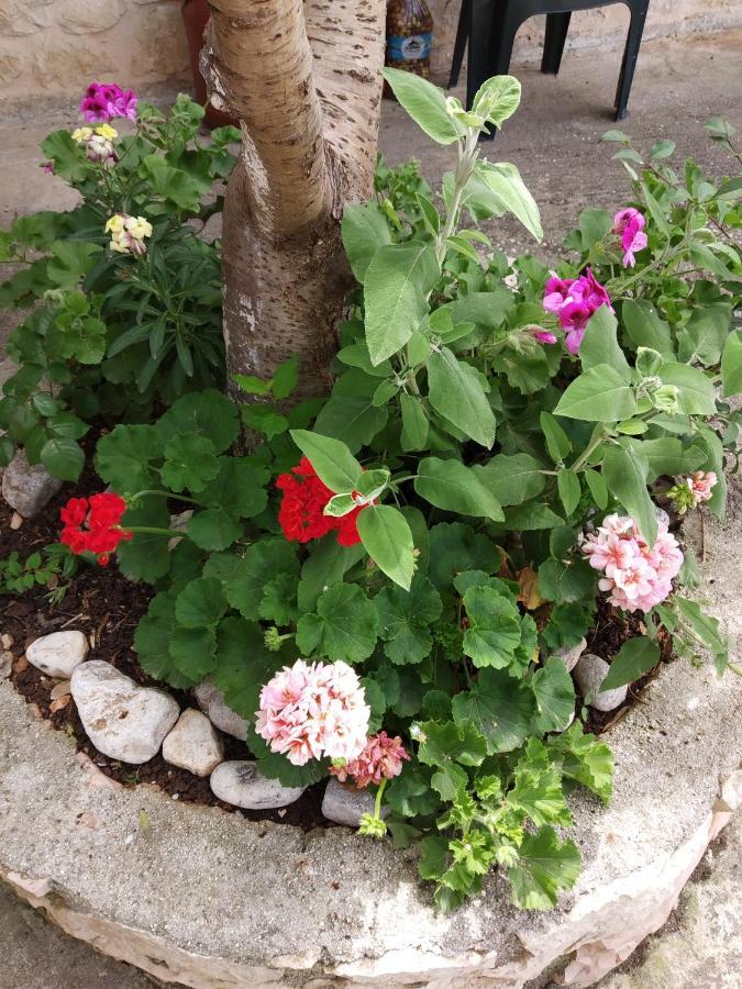 Altin Skrapari Guesthouse Ksamil Dış mekan fotoğraf