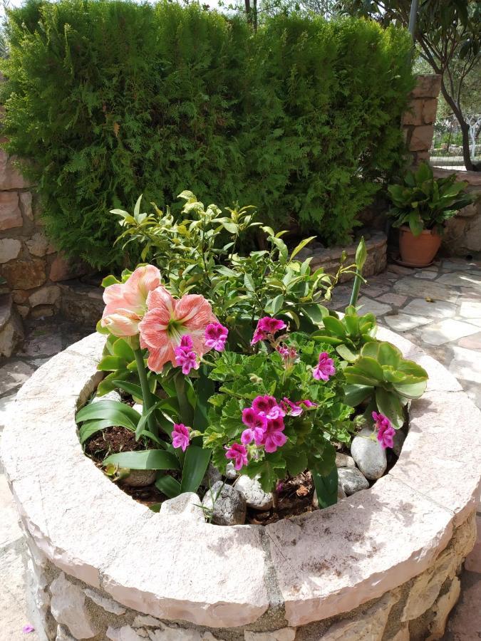 Altin Skrapari Guesthouse Ksamil Dış mekan fotoğraf
