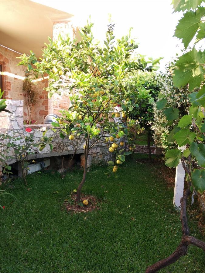 Altin Skrapari Guesthouse Ksamil Dış mekan fotoğraf